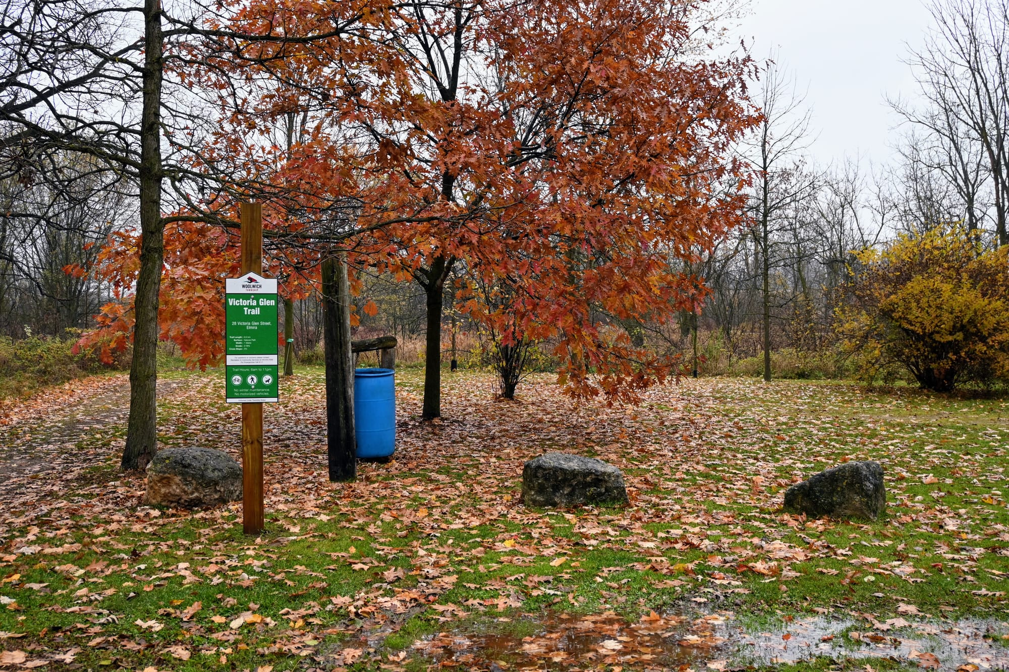 Buckthorn the target of TWEEC weed-pull events