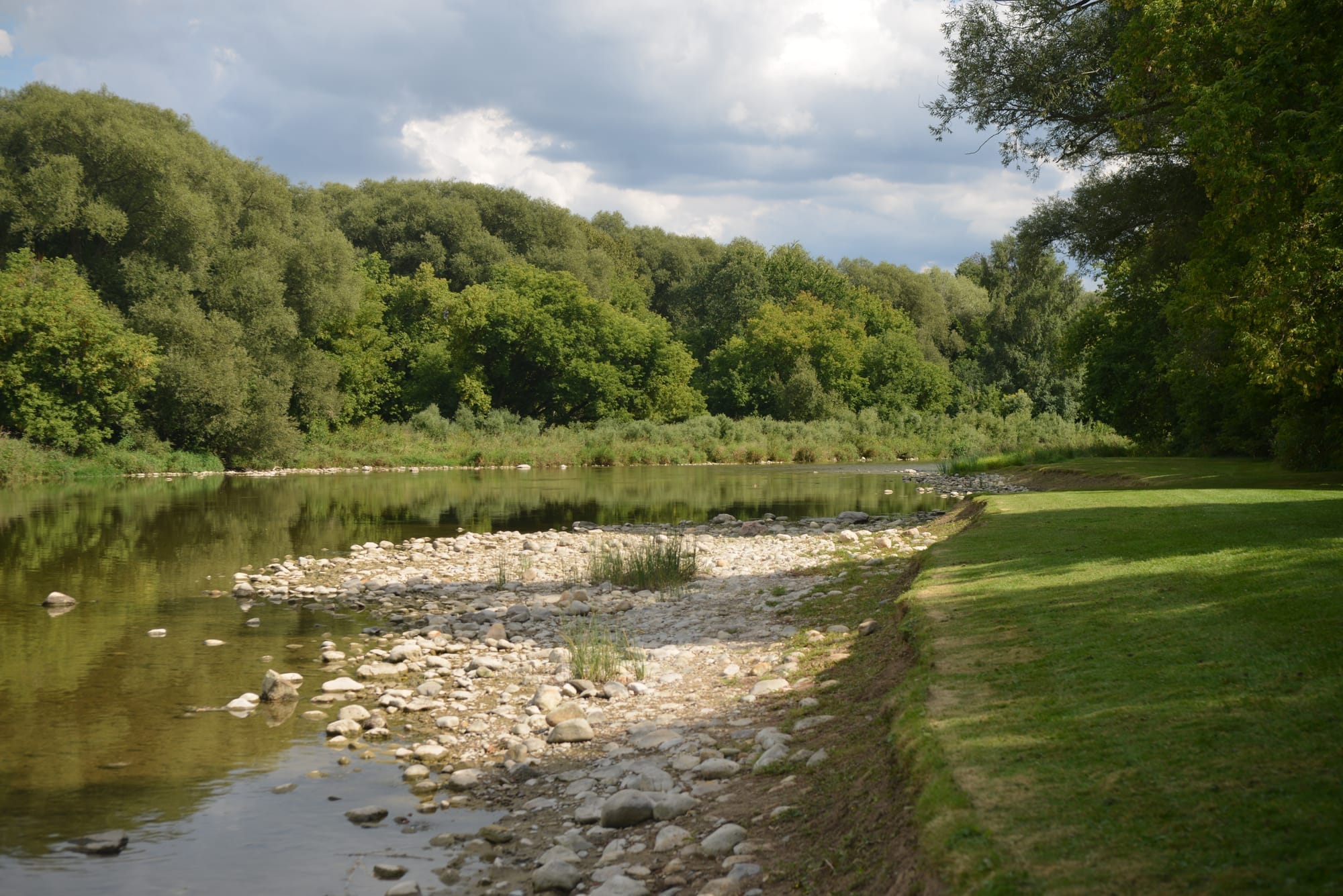 Waterways the focus of Woolwich reforestation efforts