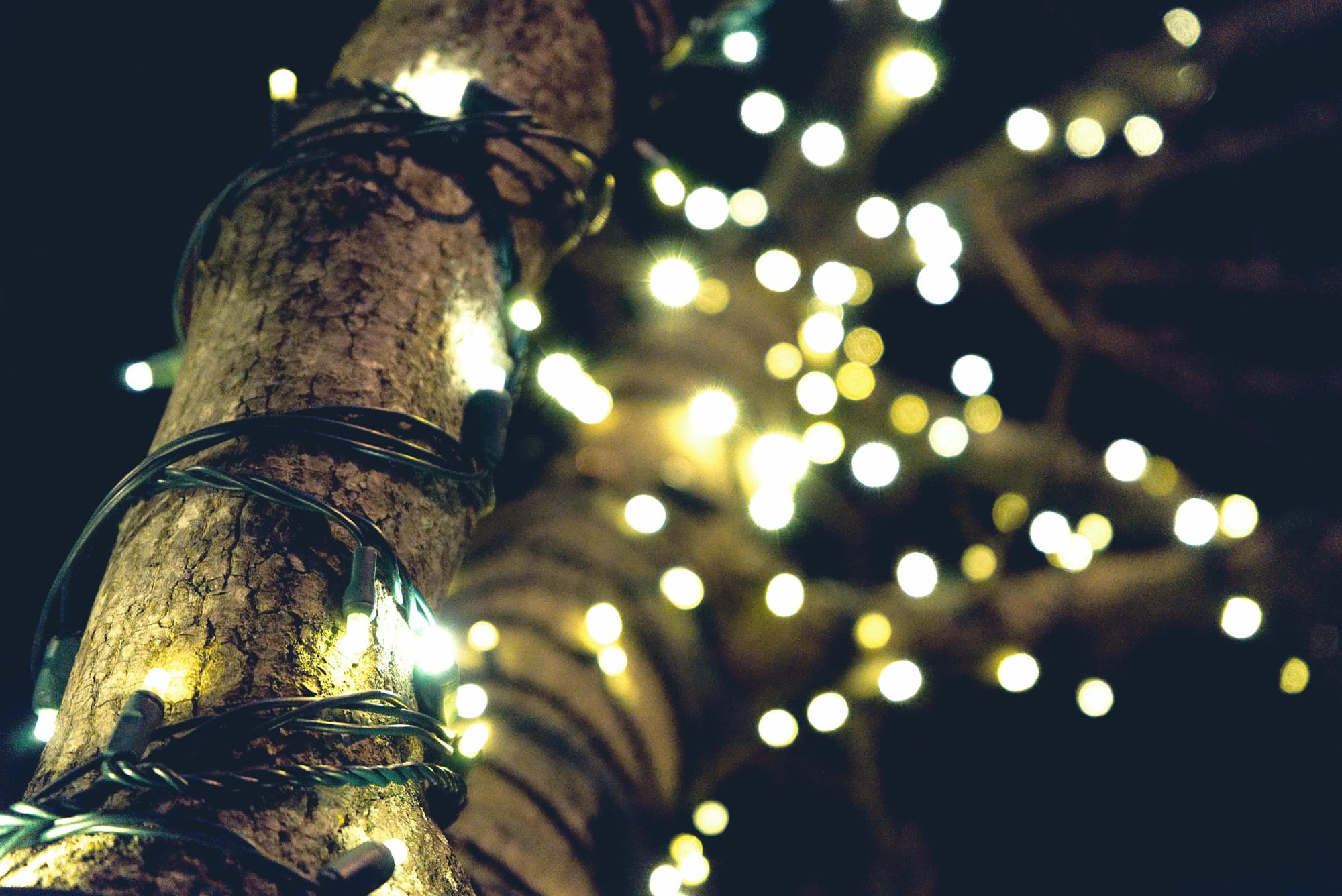 Holidays a good time to be mindful of electrical safety, says agency