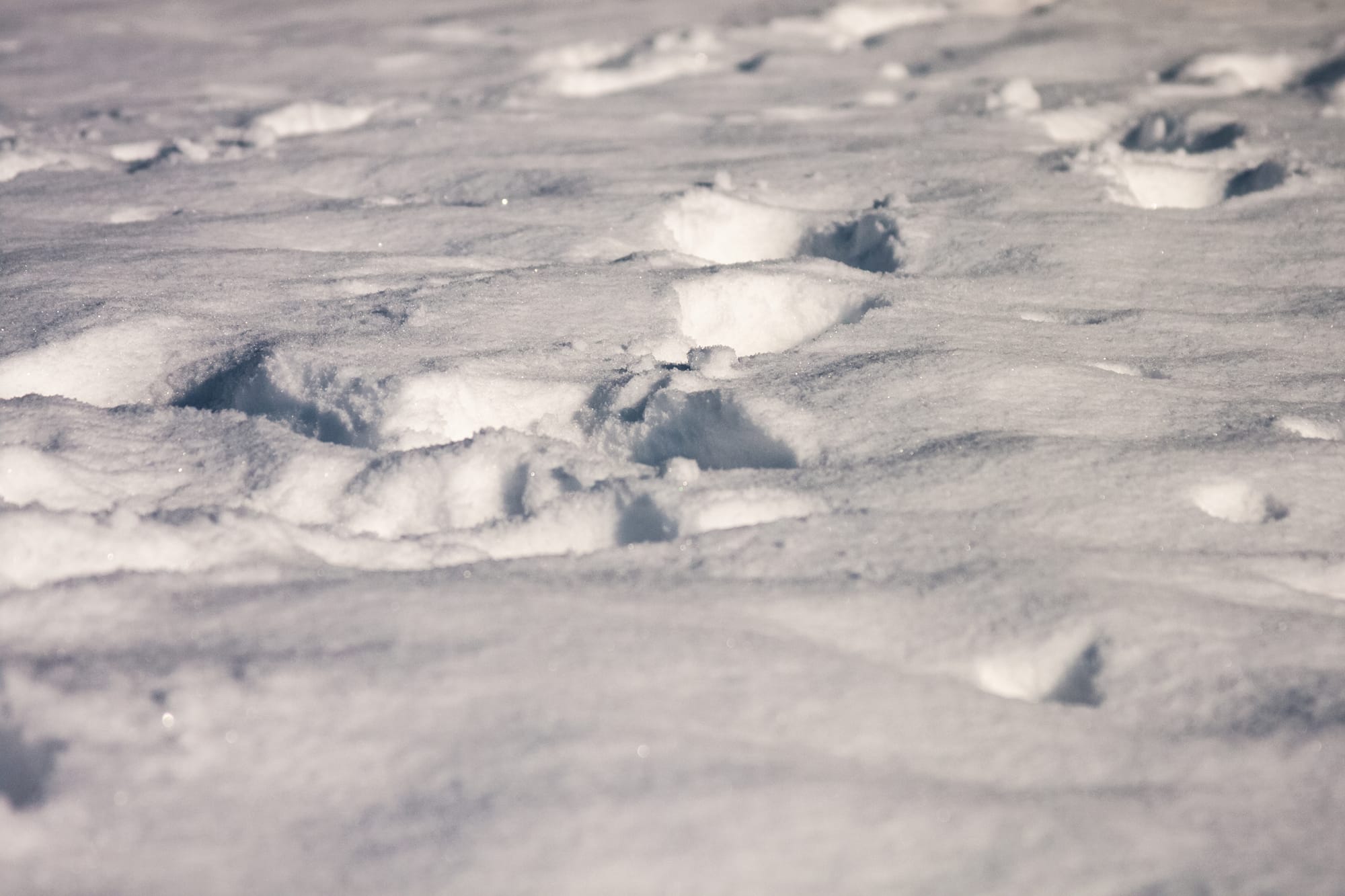 Threat of black carbon shown in new UW research