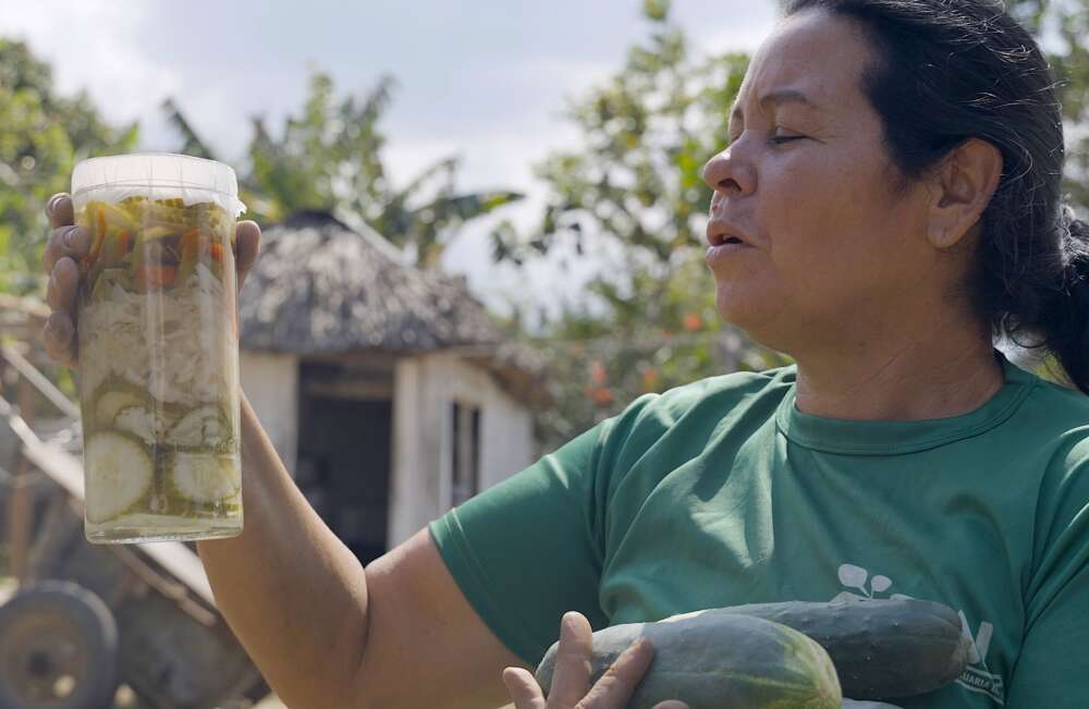 Documentary Shows how Cuba’s PIAL initiative empowers farmers