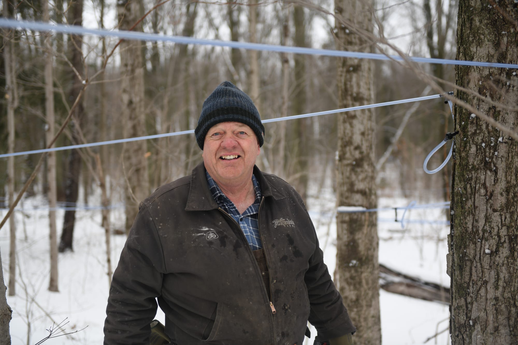 The running of the sap never gets old