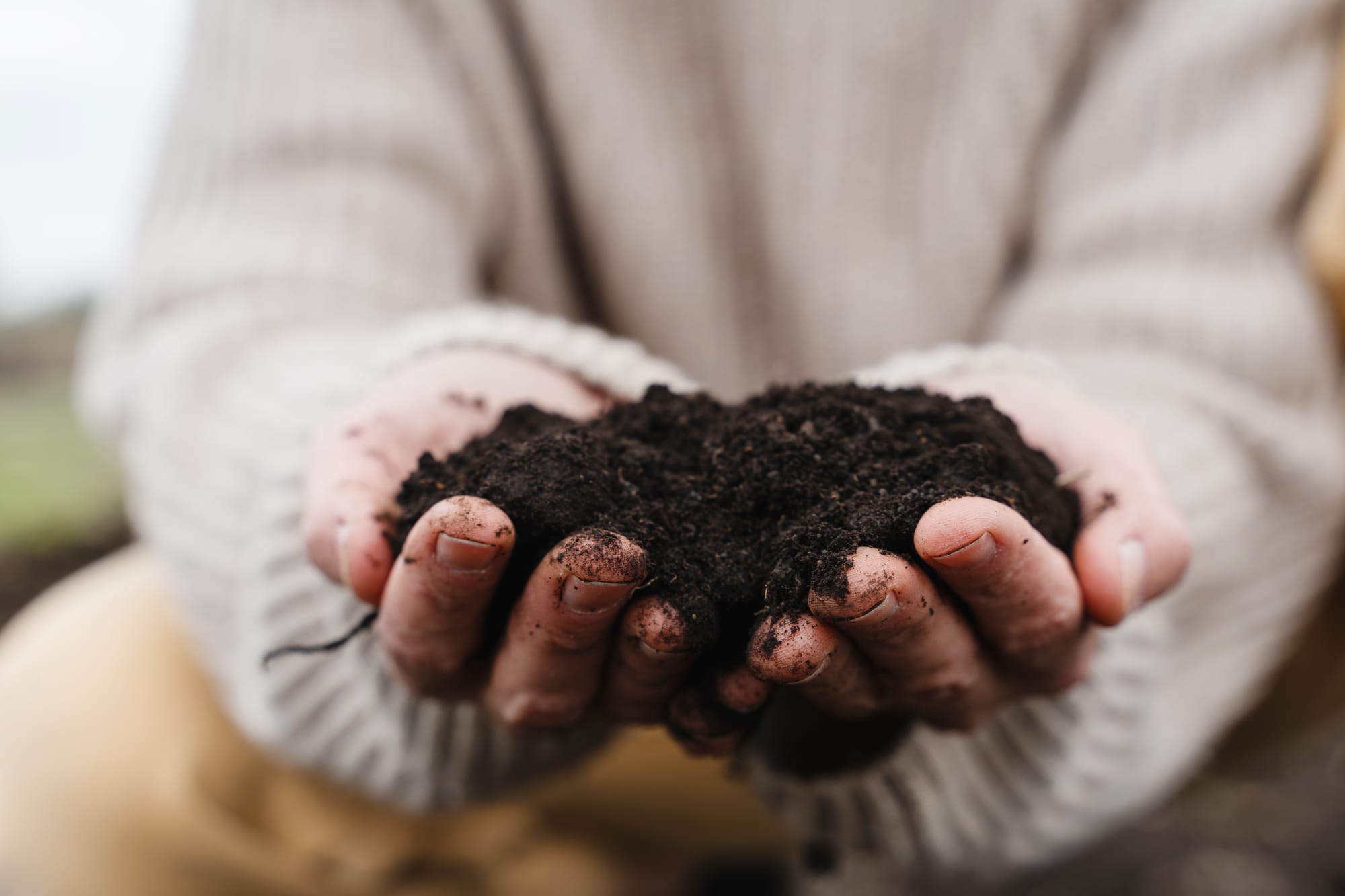 Canada commits to developing a national soil health strategy