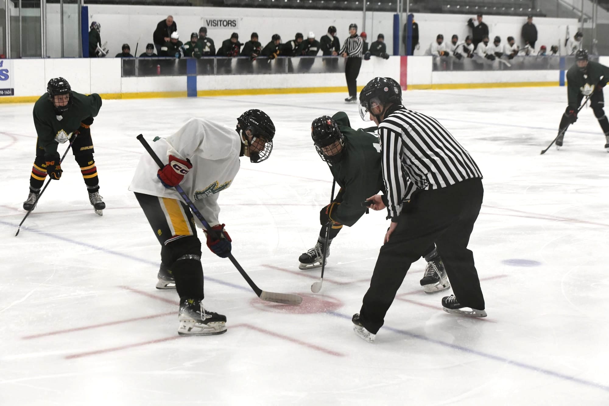 Looking to next season, Kings have 40 prospects out to camp