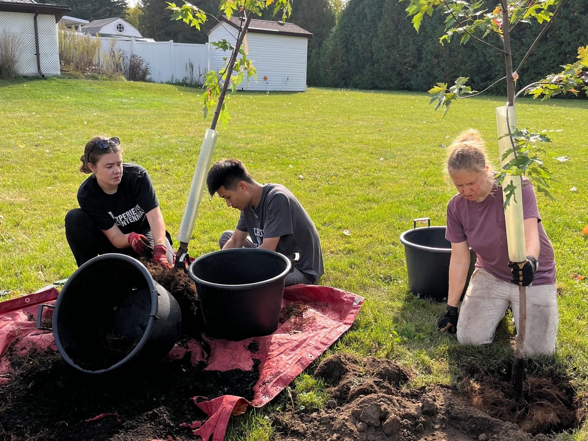 Reep begins this season’s backyard tree planting program