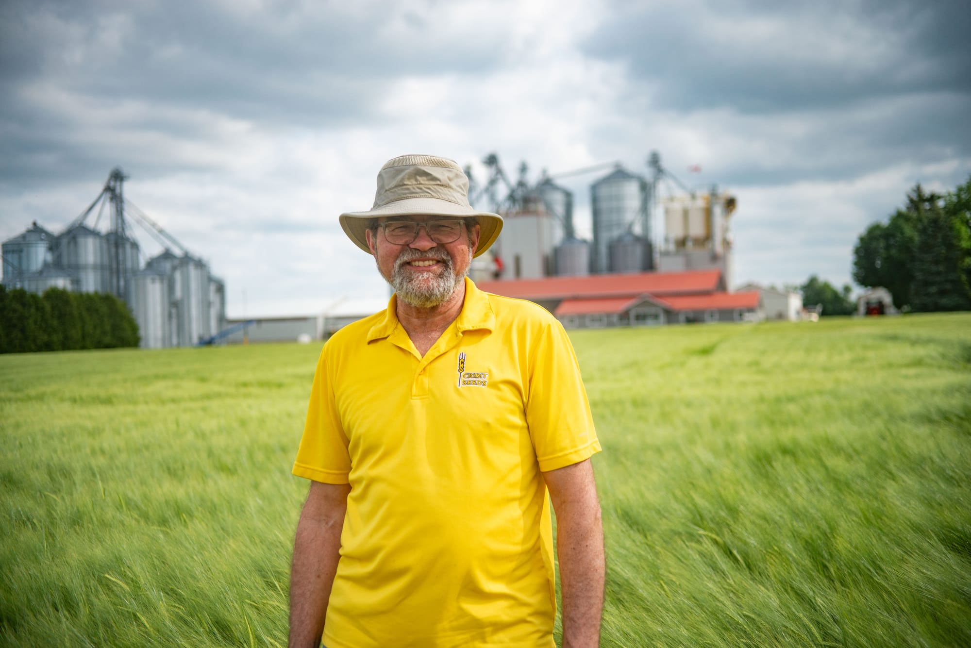 Winter barley could be the next winter wheat