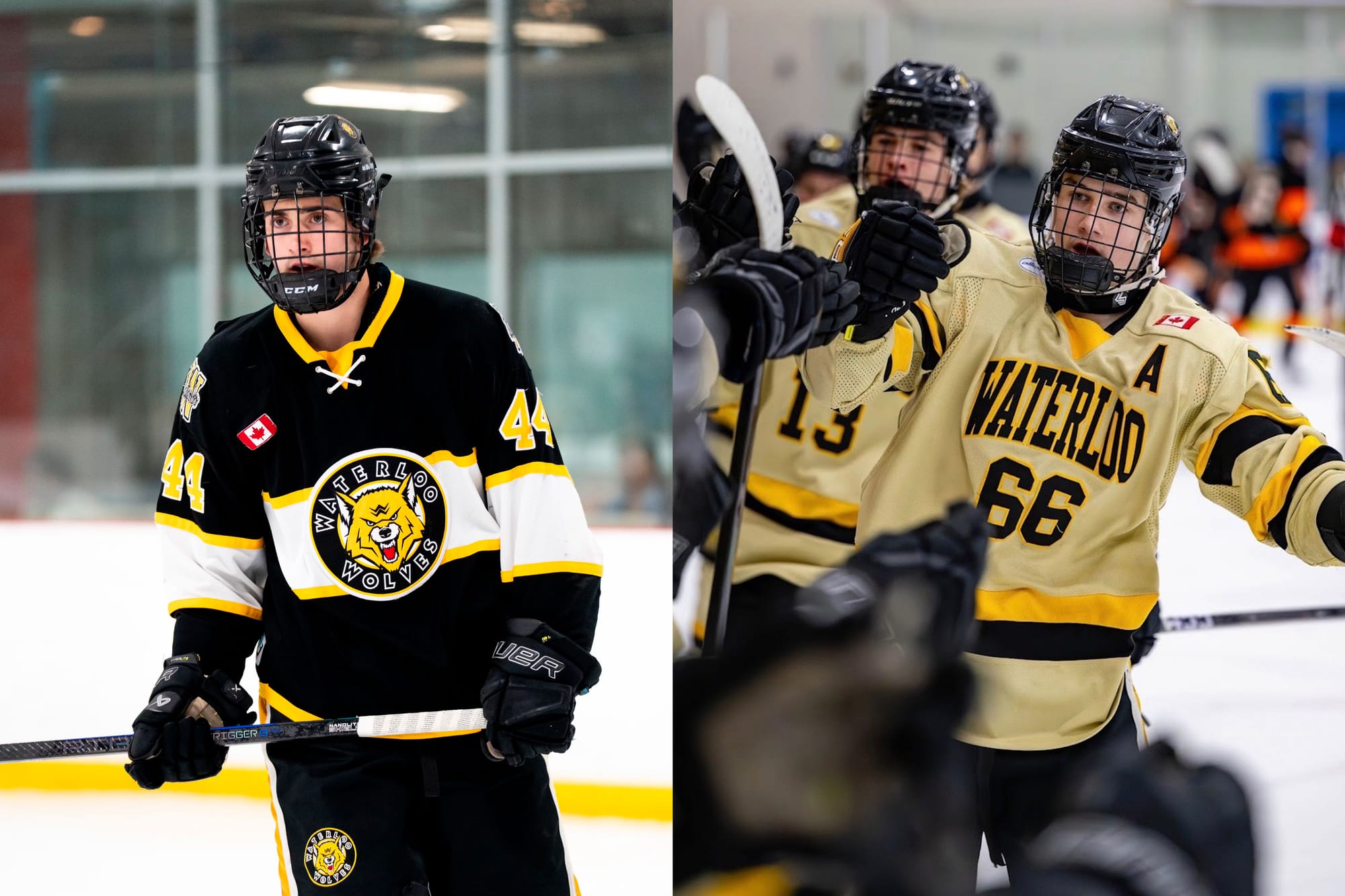 Two Elmira players drafted in the OHL Under-18 Priority Selection