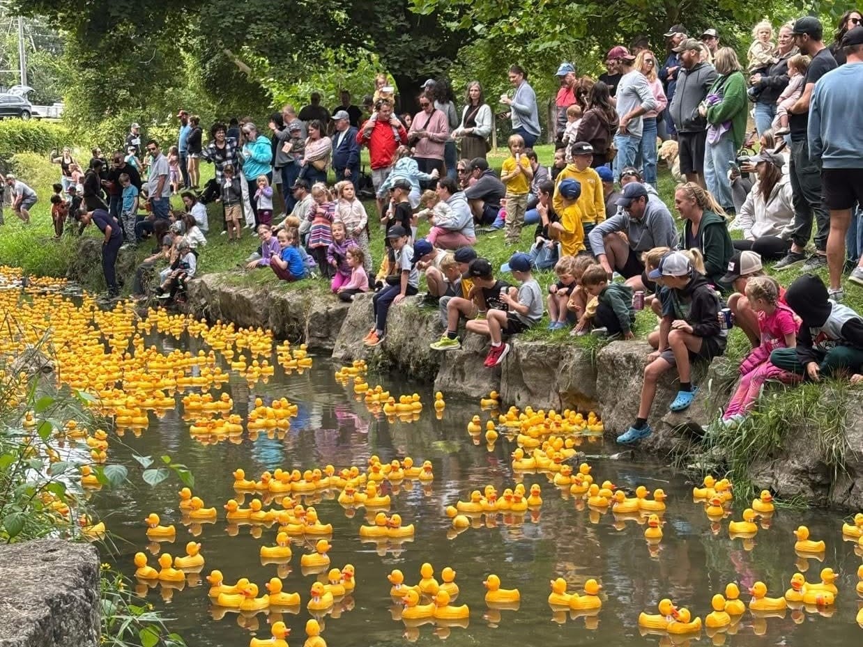 Wellesley duck race benefits Lions Club programs