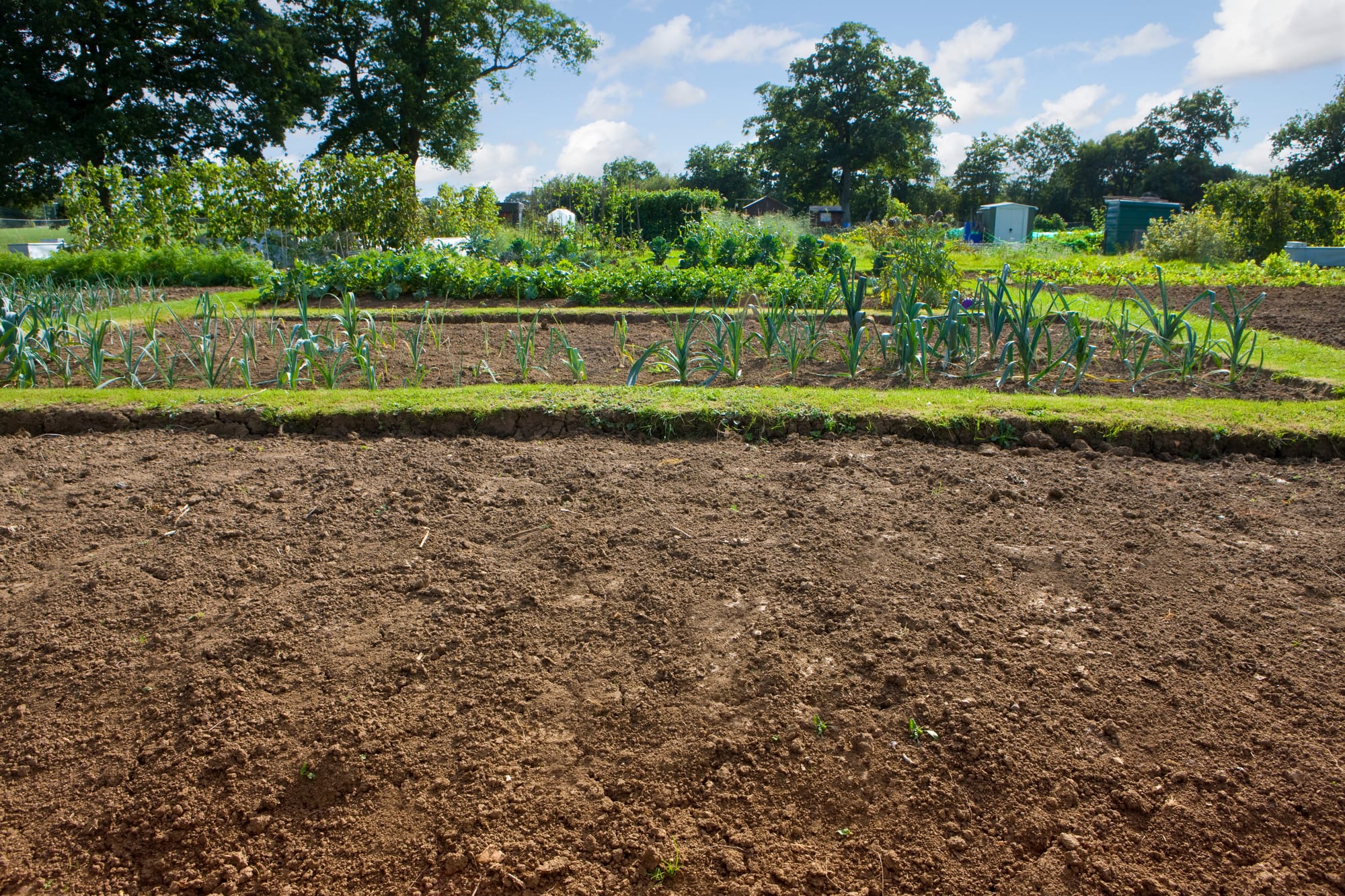 From plot to passion, come out and hear from small-scale local growers this weekend
