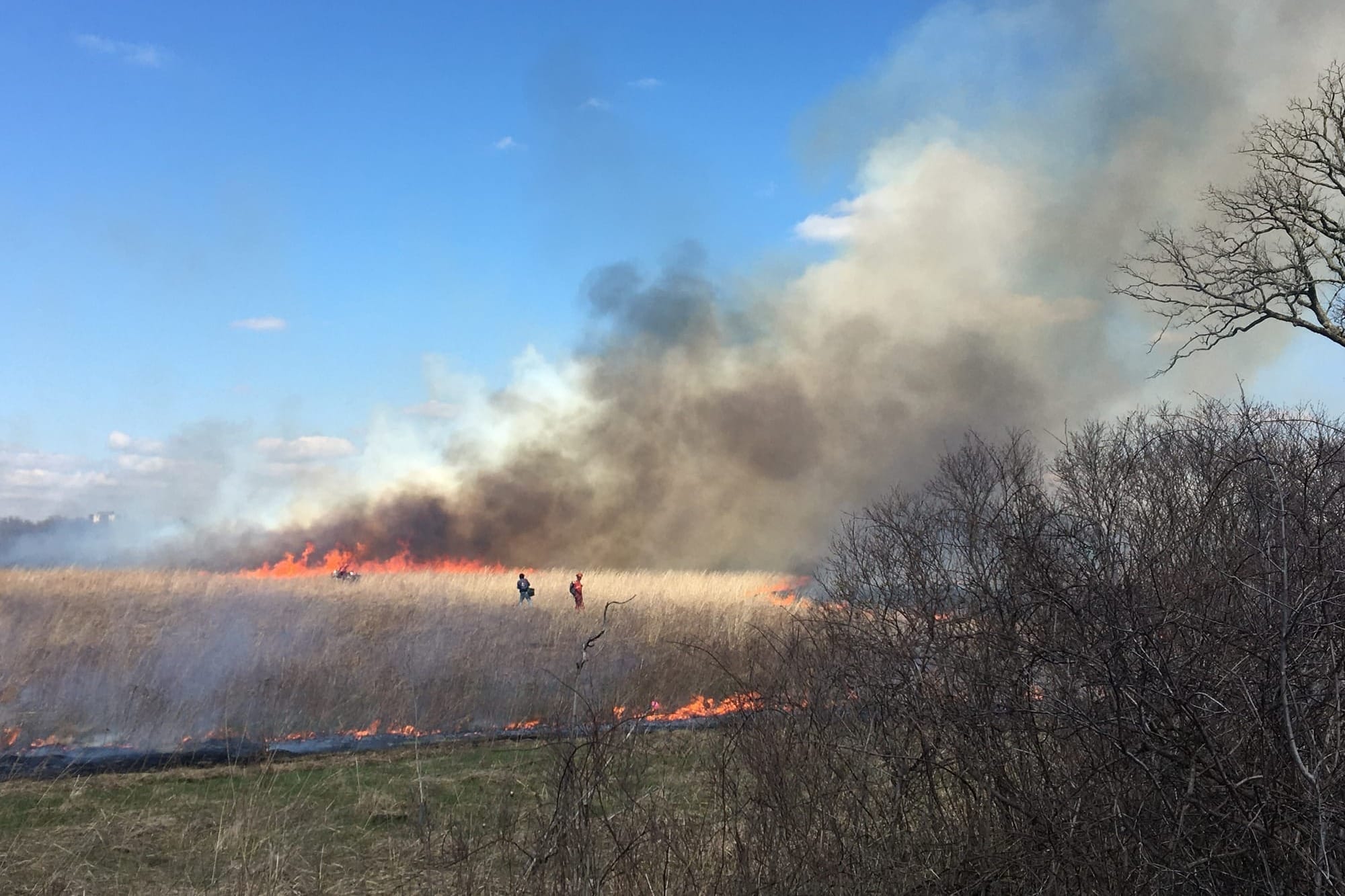 Lighting fires on purpose helps stop worse wildfires later