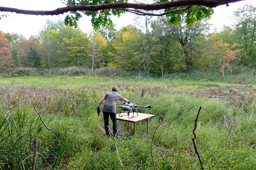 Drones a powerhouse for phragmites removal