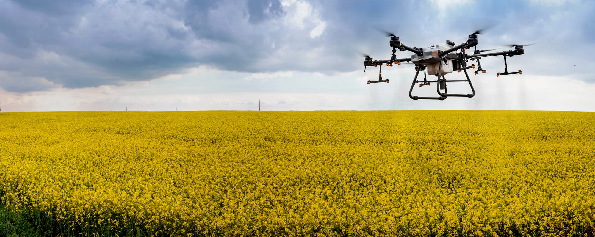 Drones offer more efficient application of pesticides