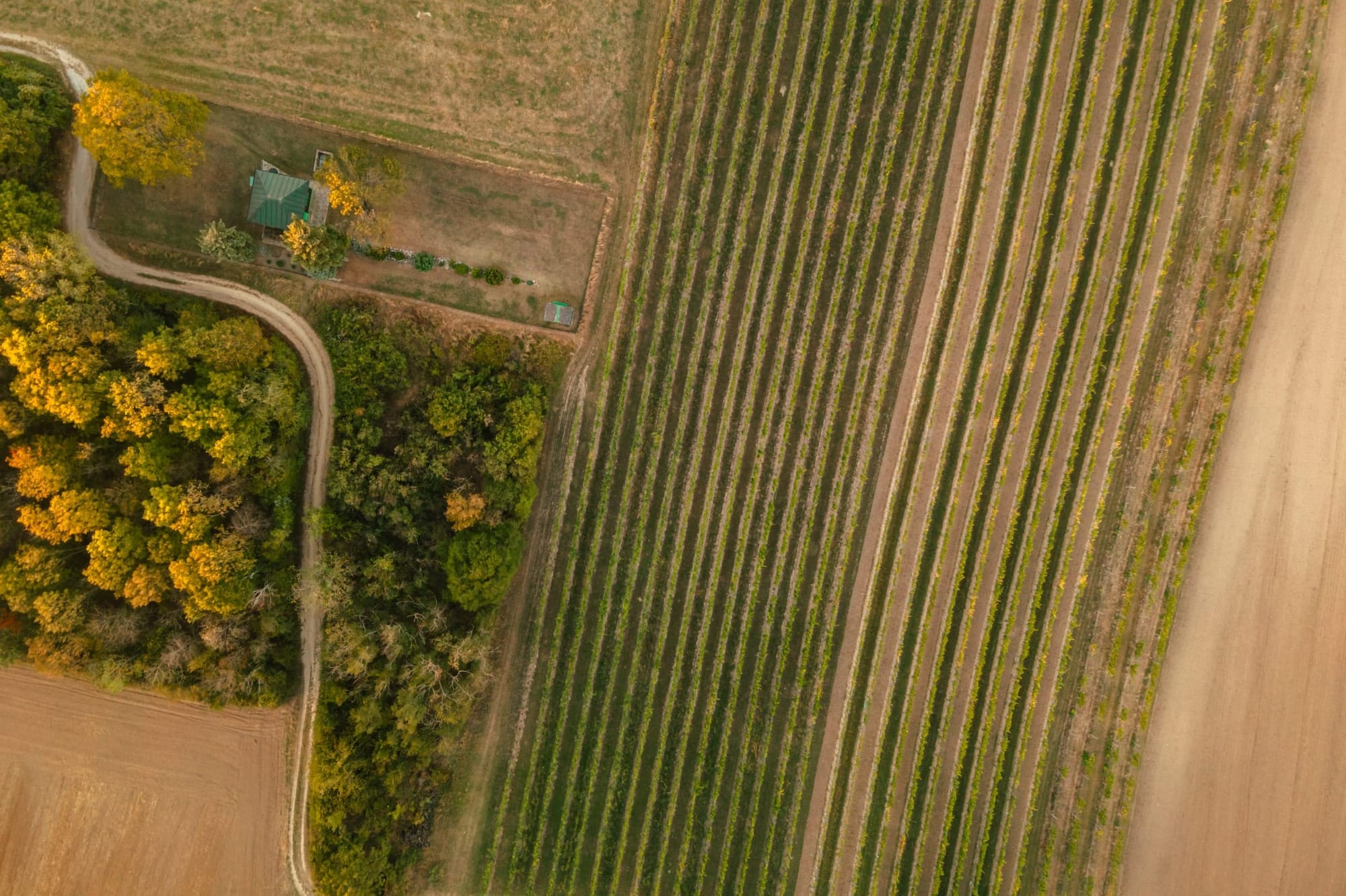 Local advocate recalls the early days of the Wilmot land grab