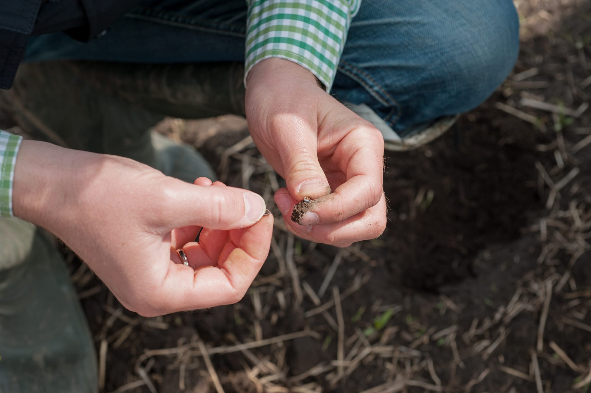 FGCA fills in the gap training seed collectors