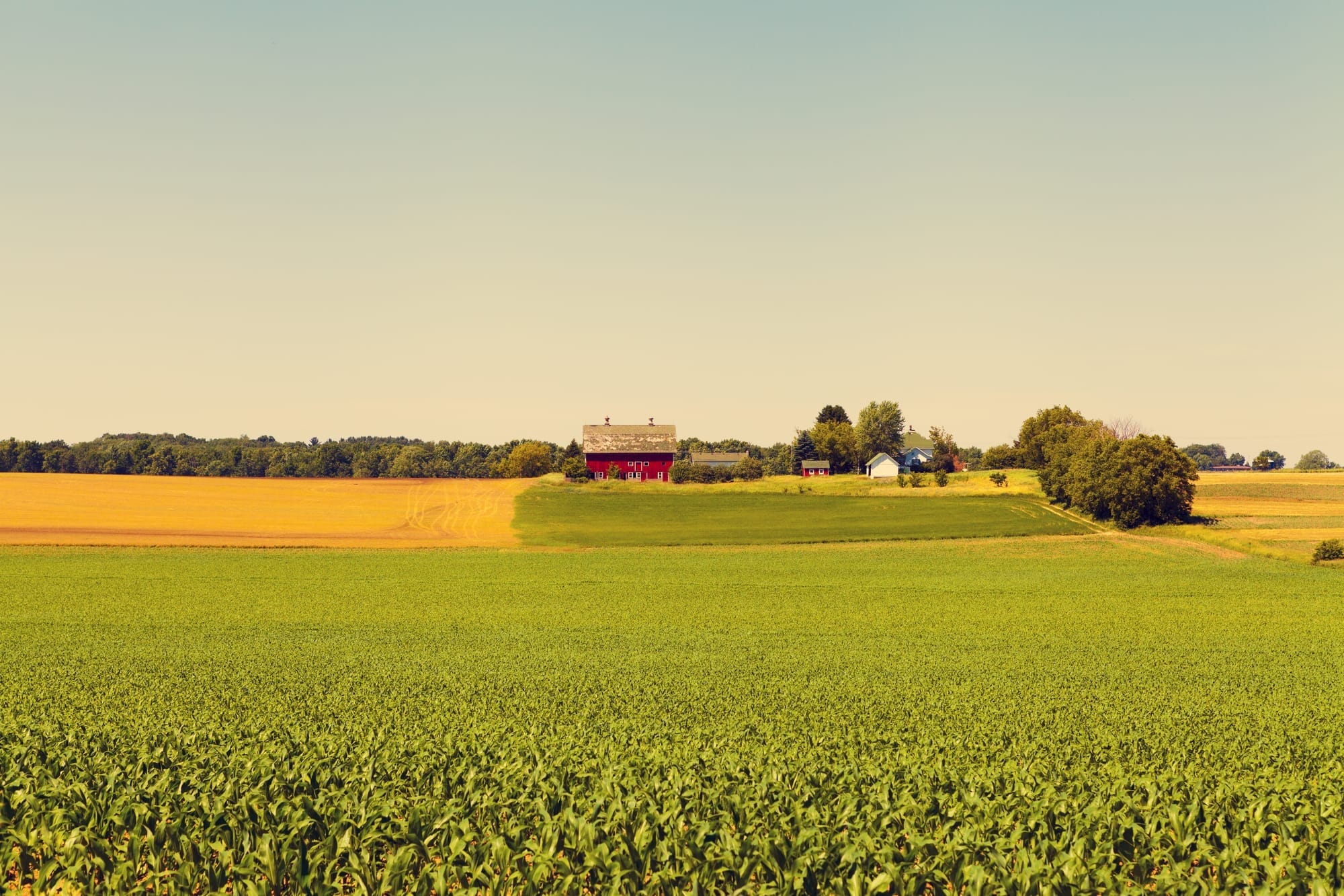 Green Party leader decries Wilmot land grab, calls for protection of farmland
