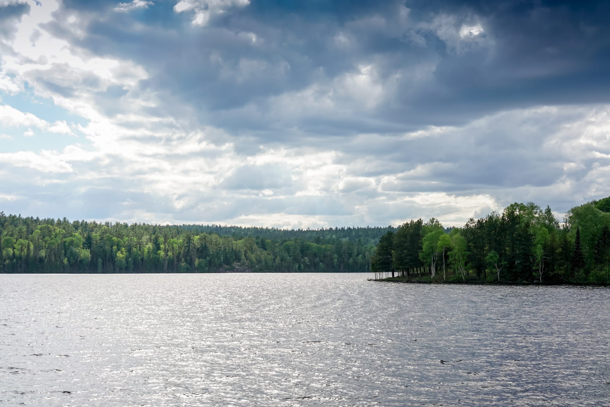 Charity urges Canadian provincial and federal governments to protect Ontario’s water