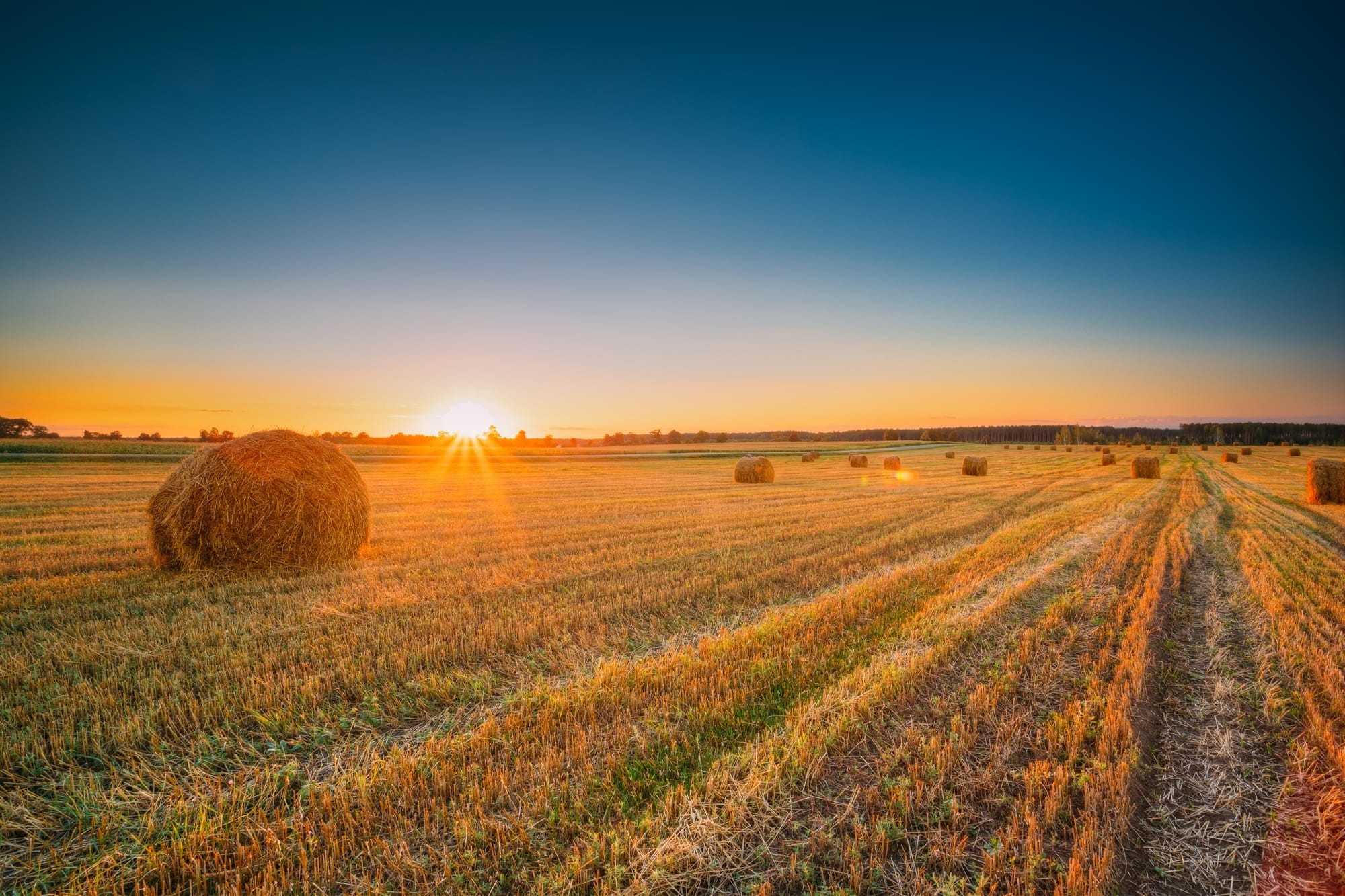 Local advocate recalls the early days of the region’s Wilmot land grab
