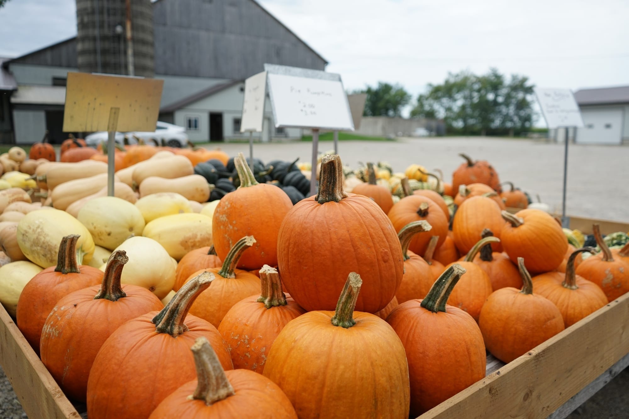 Milder autumn weather expected this year