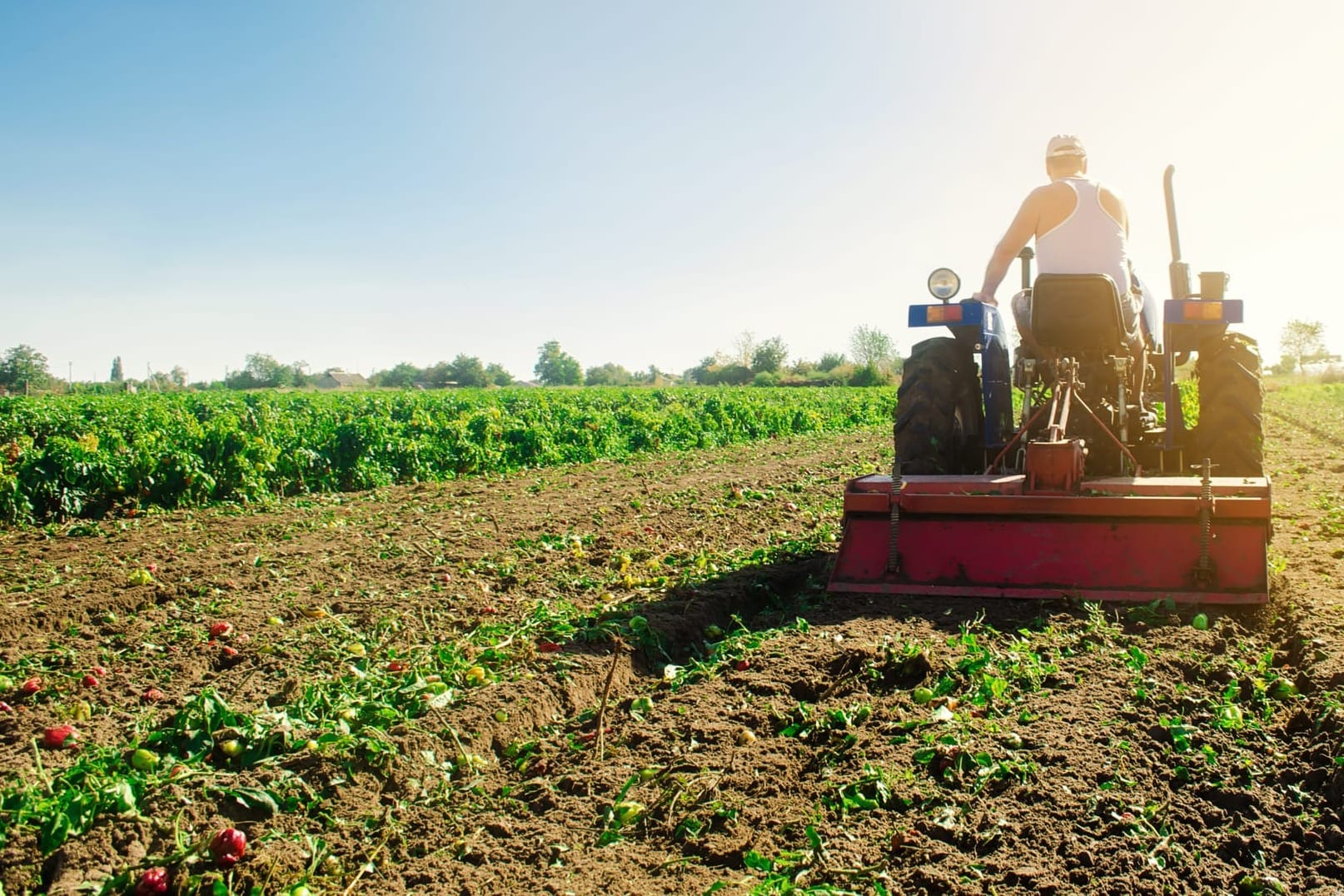 Don’t let safety take a back seat this harvest