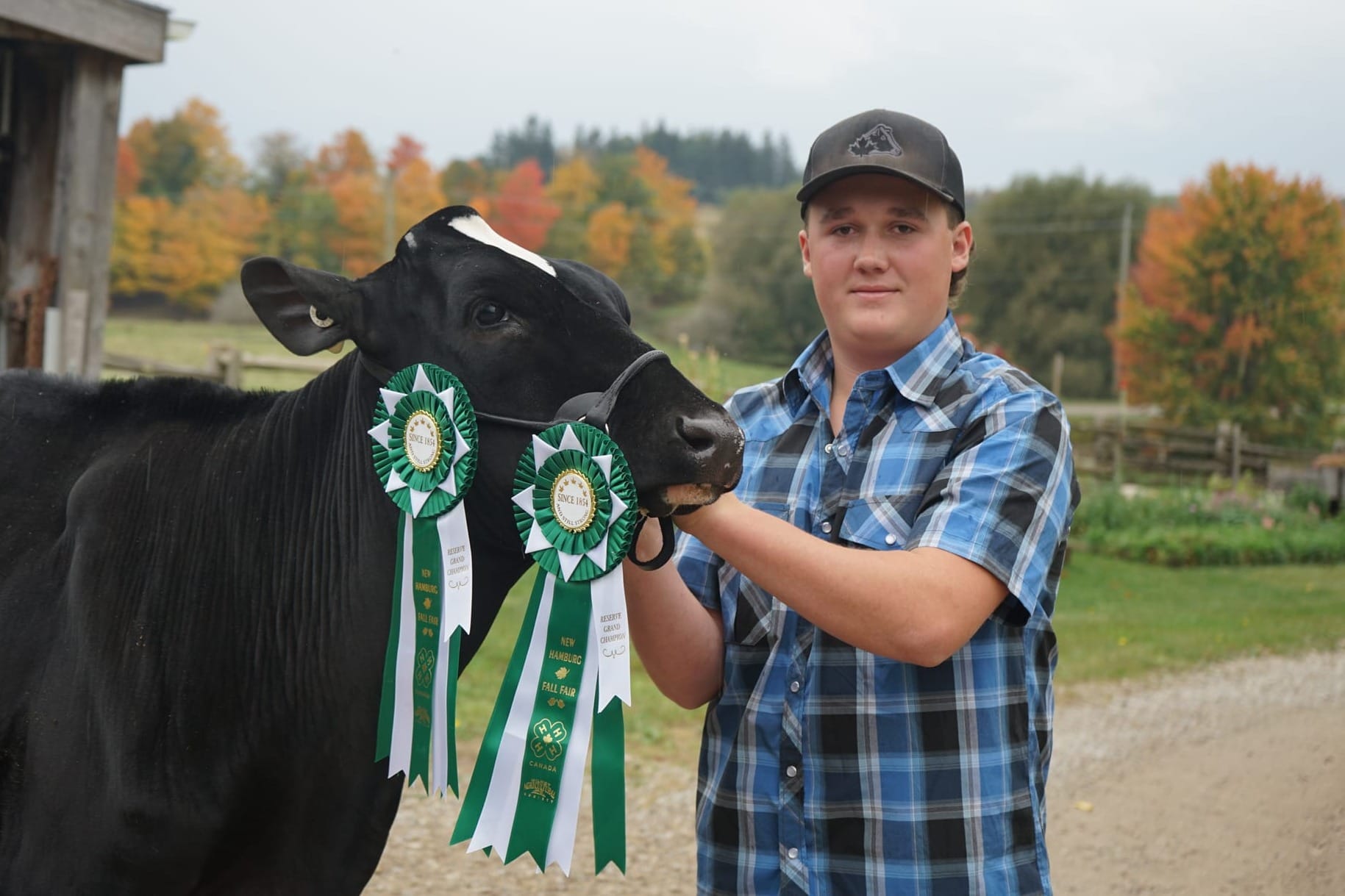 Wellesley 4H member getting ready for the Royal
