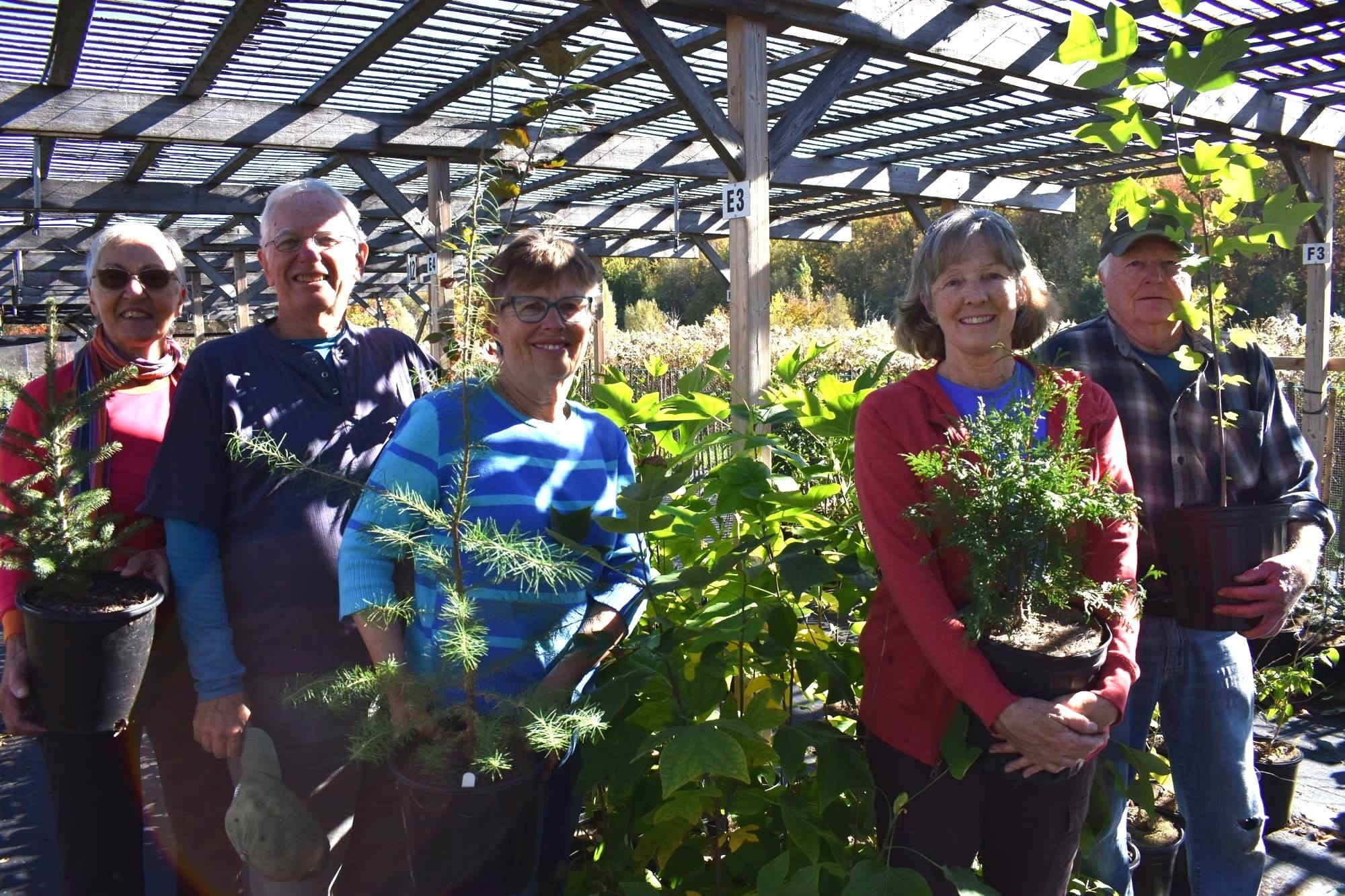 Trees for Woolwich marks 15 years since it began its efforts