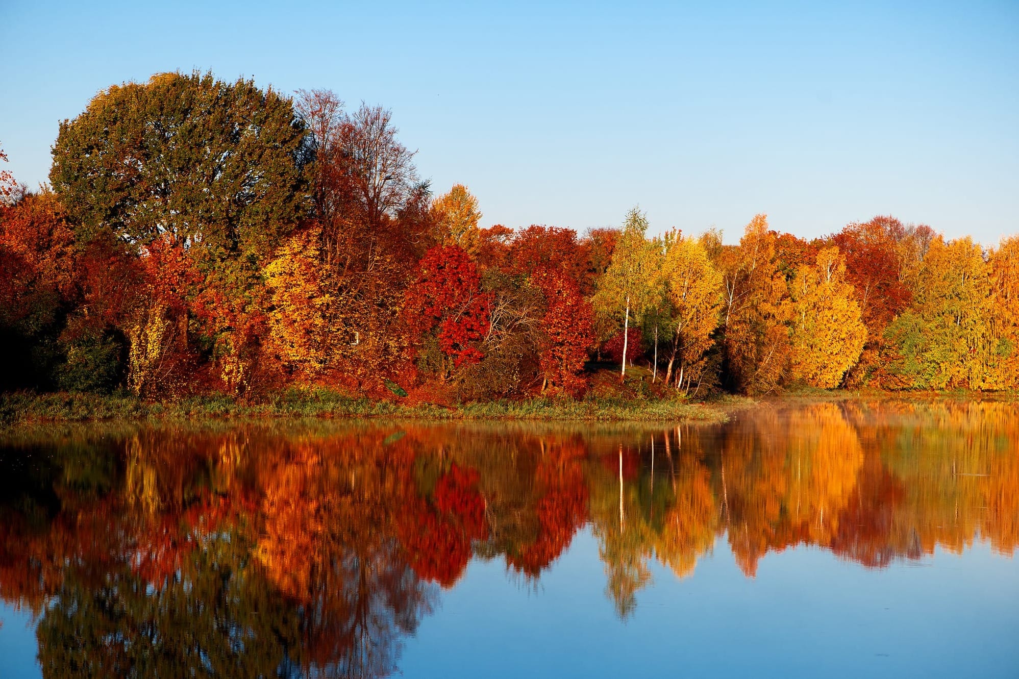 The leaves are changing colour a little slower this year