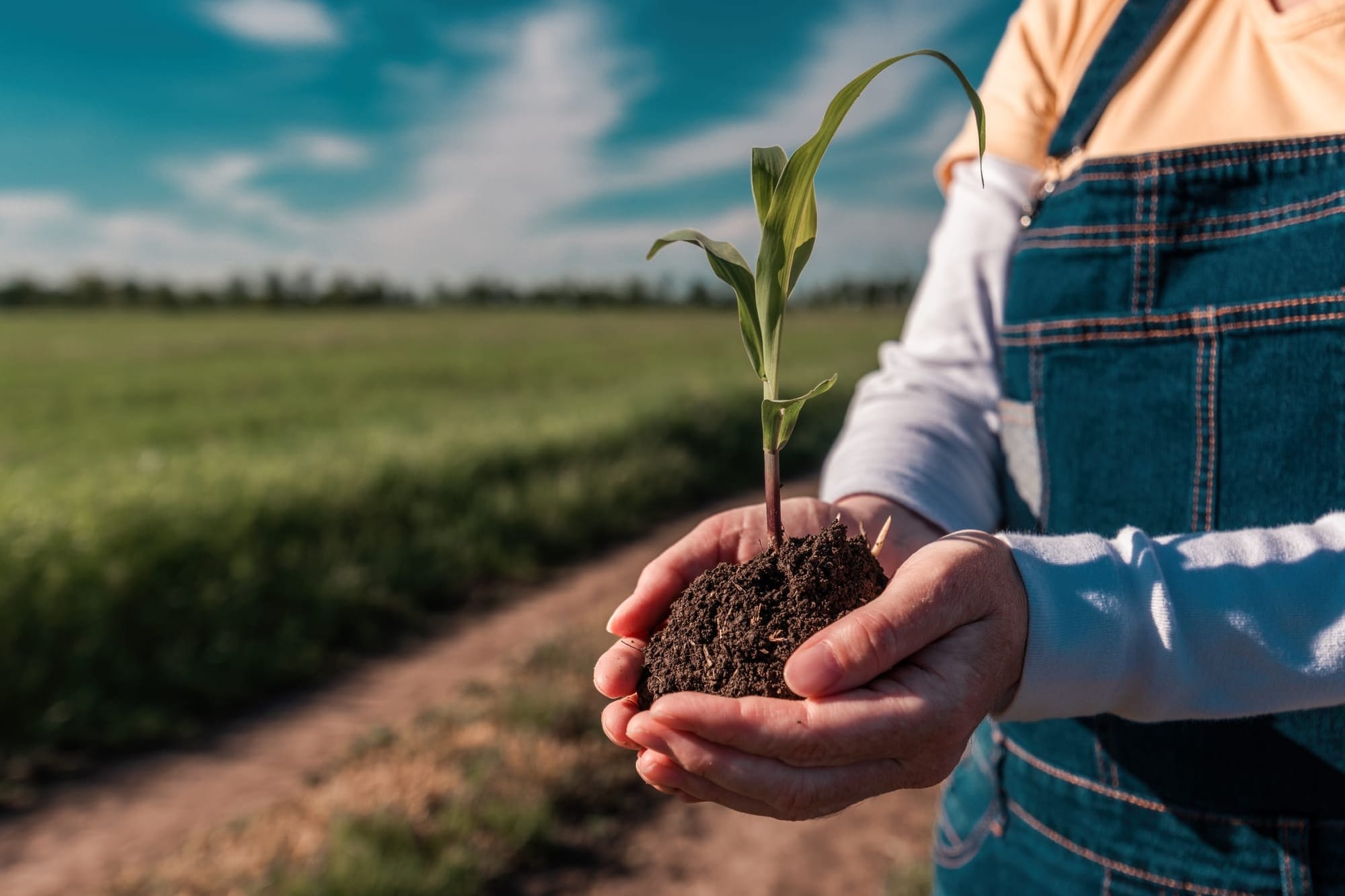 Green Party and farm groups push for Foodbelt