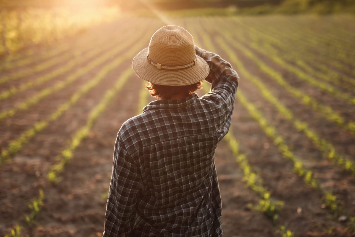 Agricultural experts weigh in on this year’s increased input costs for farmers