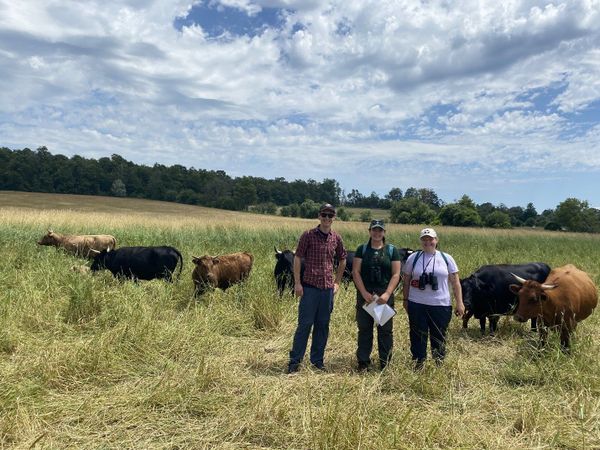 Reversing provincial plan to allow more housing on farm properties is just the start