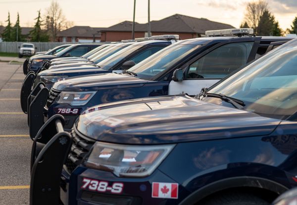 Waterloo Regional Police welcome two new members to the canine unit