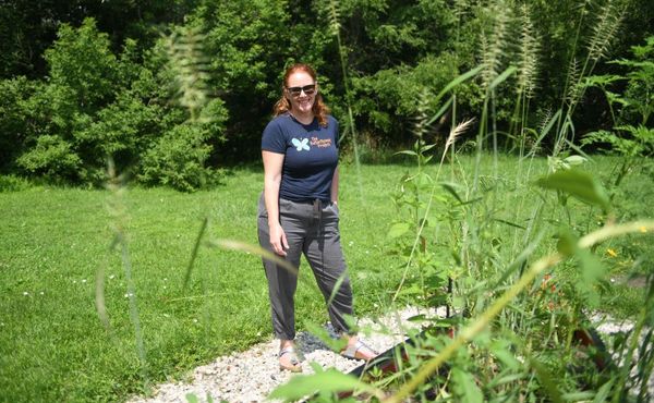 Improving the environment the butterflyway