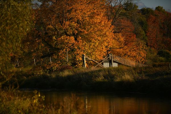 Milder weather  in the forecast as autumn arrives