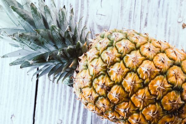 Pineapple migrates from pizza to pasta