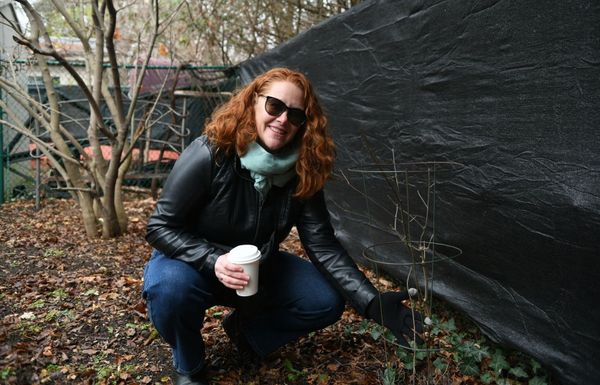 Paw paw tree giveaway part of effort to repopulate native species