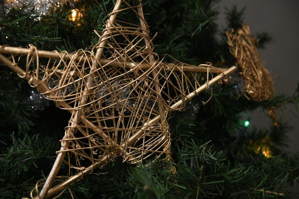 WCS Goodwill program helped 238 families over the holidays