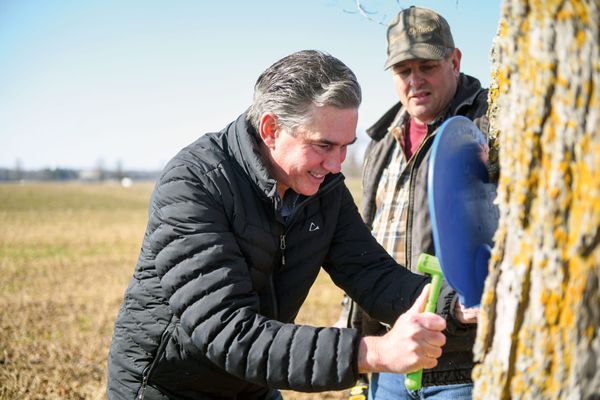 First-tap ceremony highlights maple-syrup process, from tree to table