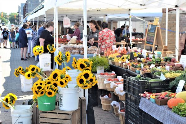 Project sees benefits of producers dealing directly with consumers