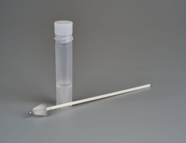 Cervical cancer and HPV screening