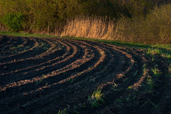 Secrecy prevails as region looks to turn farmland into industrial site