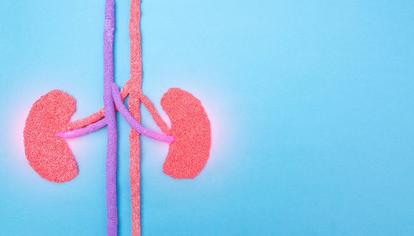 Understanding chronic kidney disease