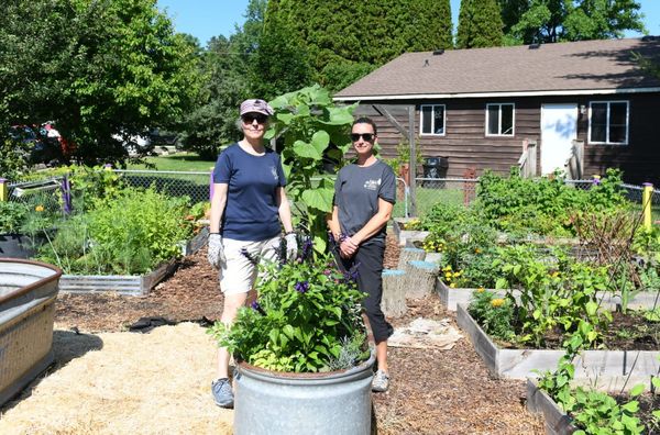 Thefts from gardening group seen as deliberate