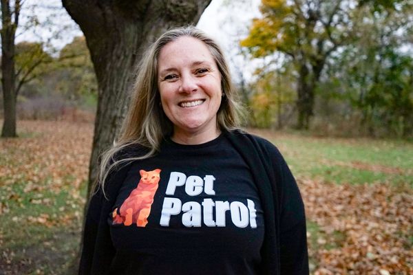 Stray cats in Bolender Park part of a larger issue that’s tough to solve