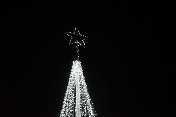 Paradise and District Lions Club lit up the night at the Tree of Light ceremony