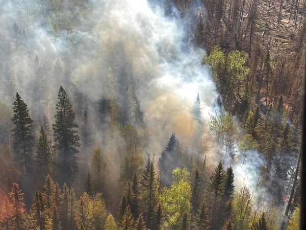 WLU research on forest fires yields interesting data