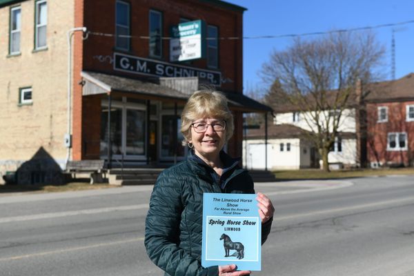 Investigating decades of horsing around in Linwood