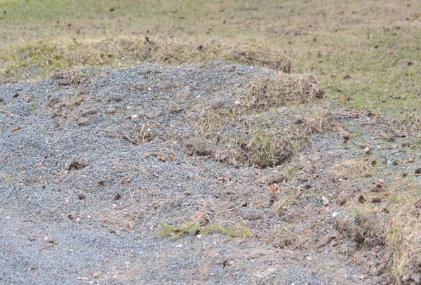 Conestogo residents want action on mess from tar-and-chip roads
