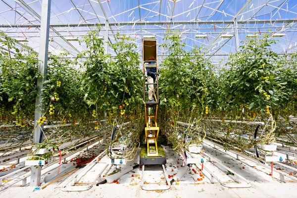 Putting the spotlight on the agri-food sector for Local Food Week