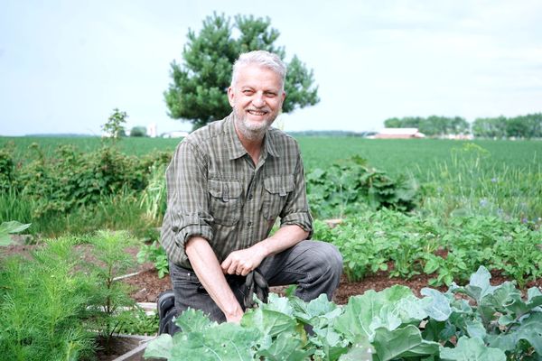 Ten years on, community garden at Elmira church proves popular