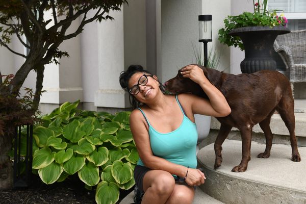 Ducklings in distress prompt woman into action