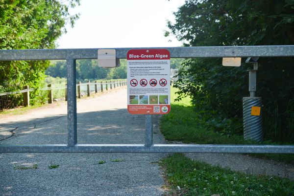 GRCA issues reminder about avoiding blue-green algae